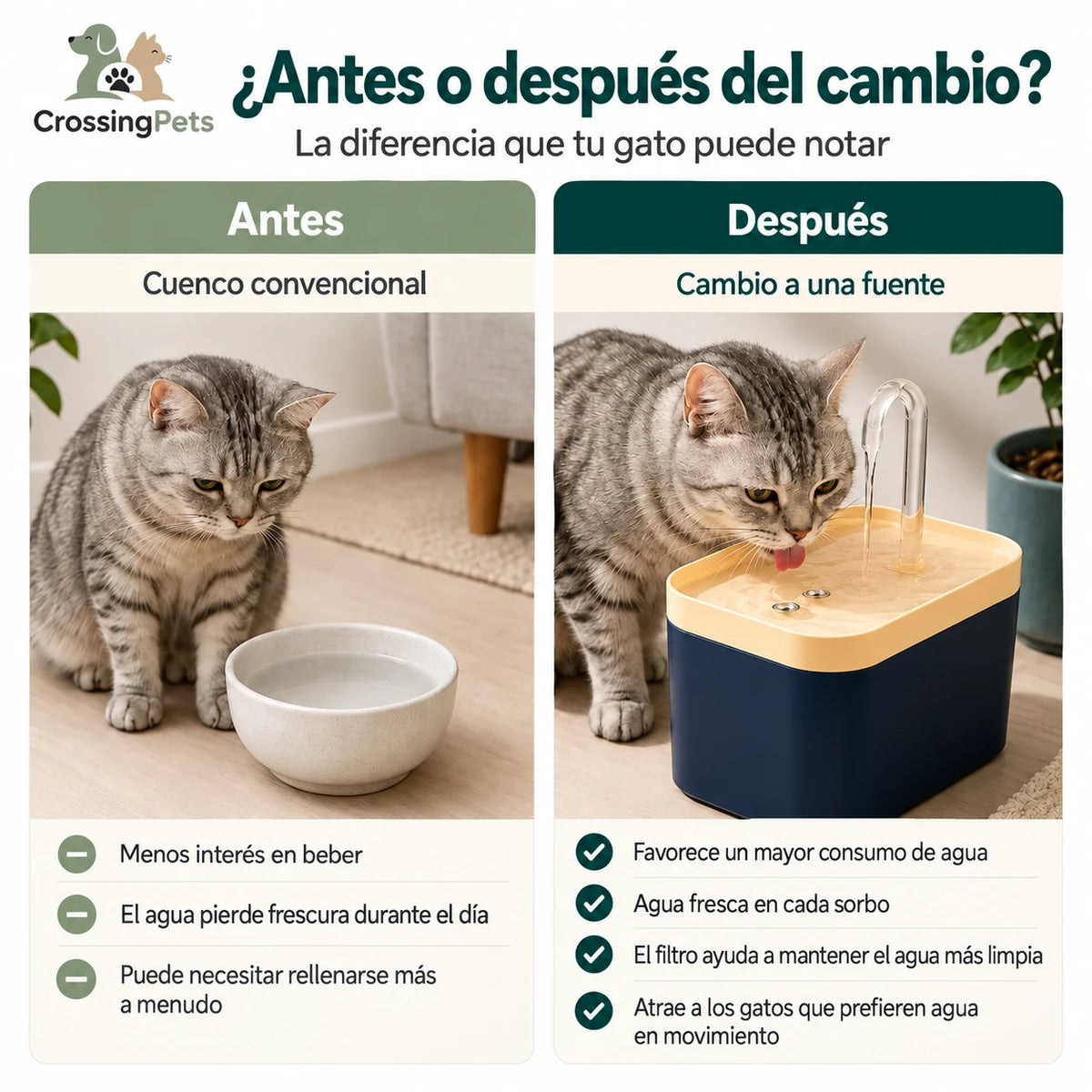 Fuente Fontaniano CrossingPets - imagen 6 en español