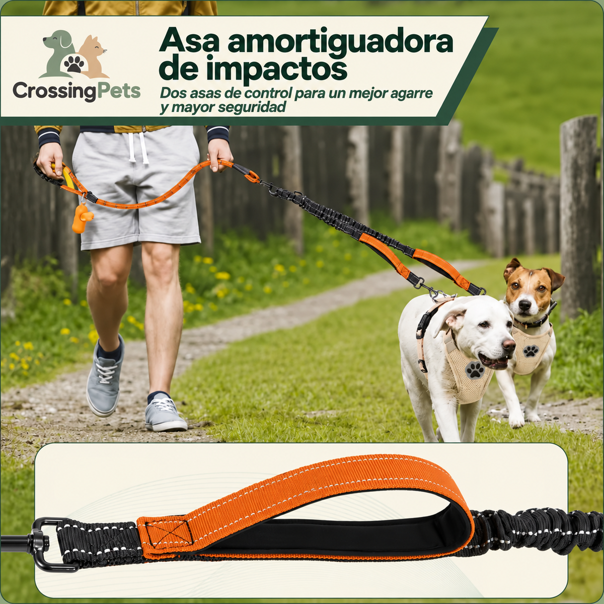Reflektierende Doppelleine — Bild 8 — CrossingPets
