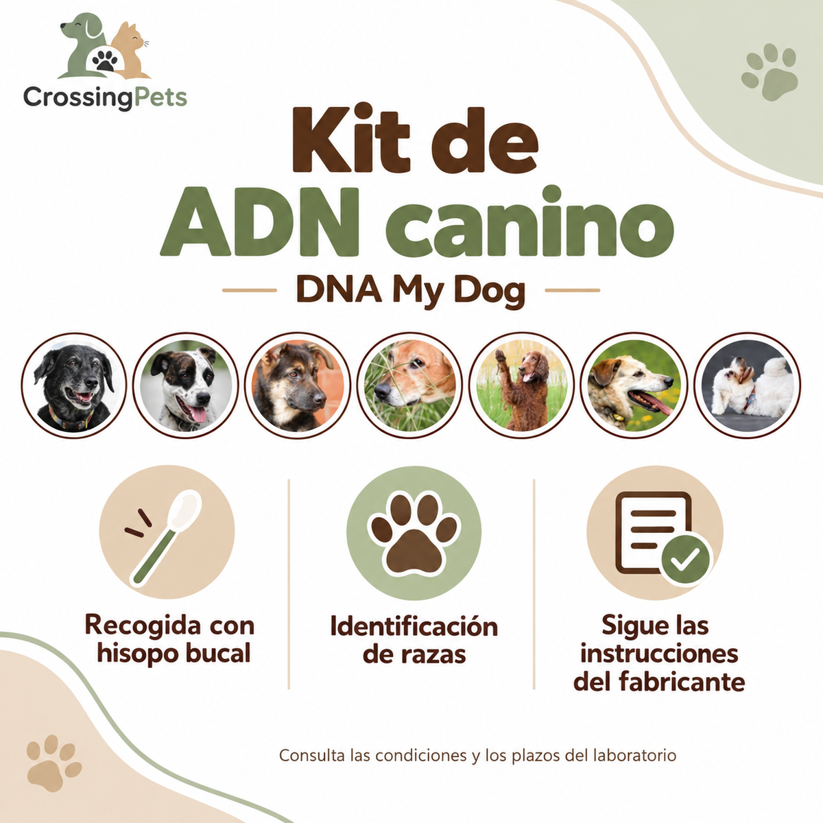 DNA My Dog · kit de identificación de razas — CrossingPets · imagen 5