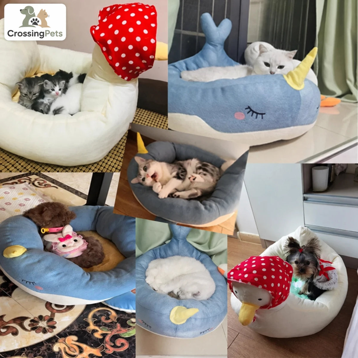 Pets resting in FloatyComfort beds — CrossingPets
