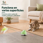 CatChase de CrossingPets: Superficies compatibles