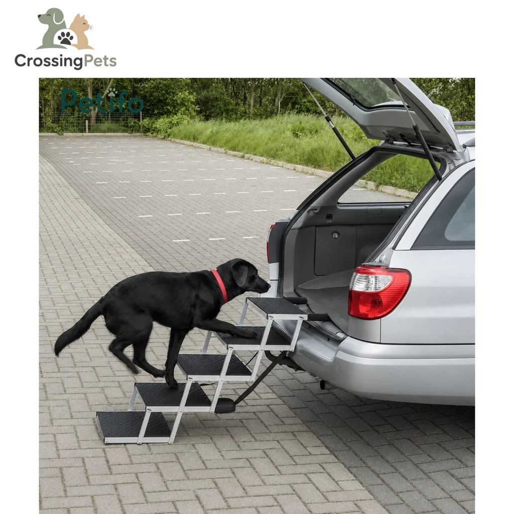 Klappbare Treppe — Bild 10 — CrossingPets