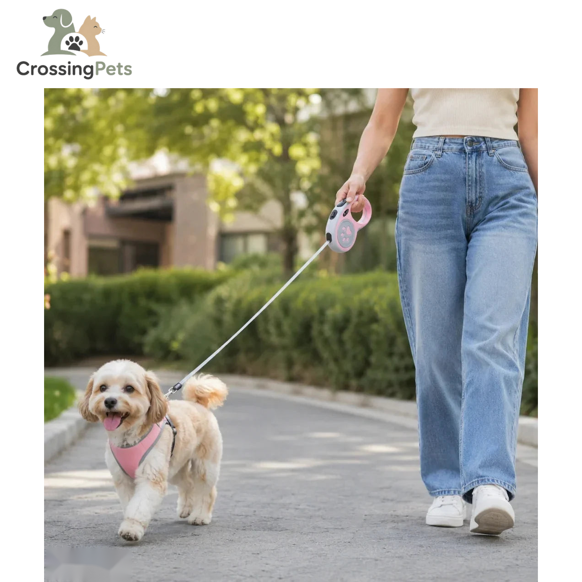 Correa retráctil FlexiPet — imagen 5 — CrossingPets
