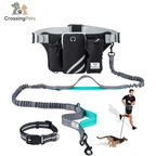 FreeRun Pro leash — image 1 — CrossingPets