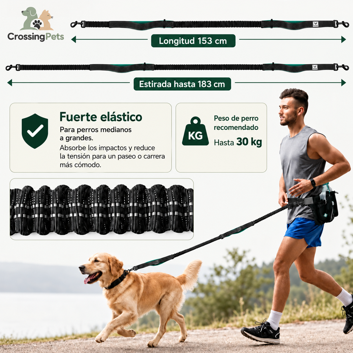 Correa FreeRun Pro — imagen 3 — CrossingPets