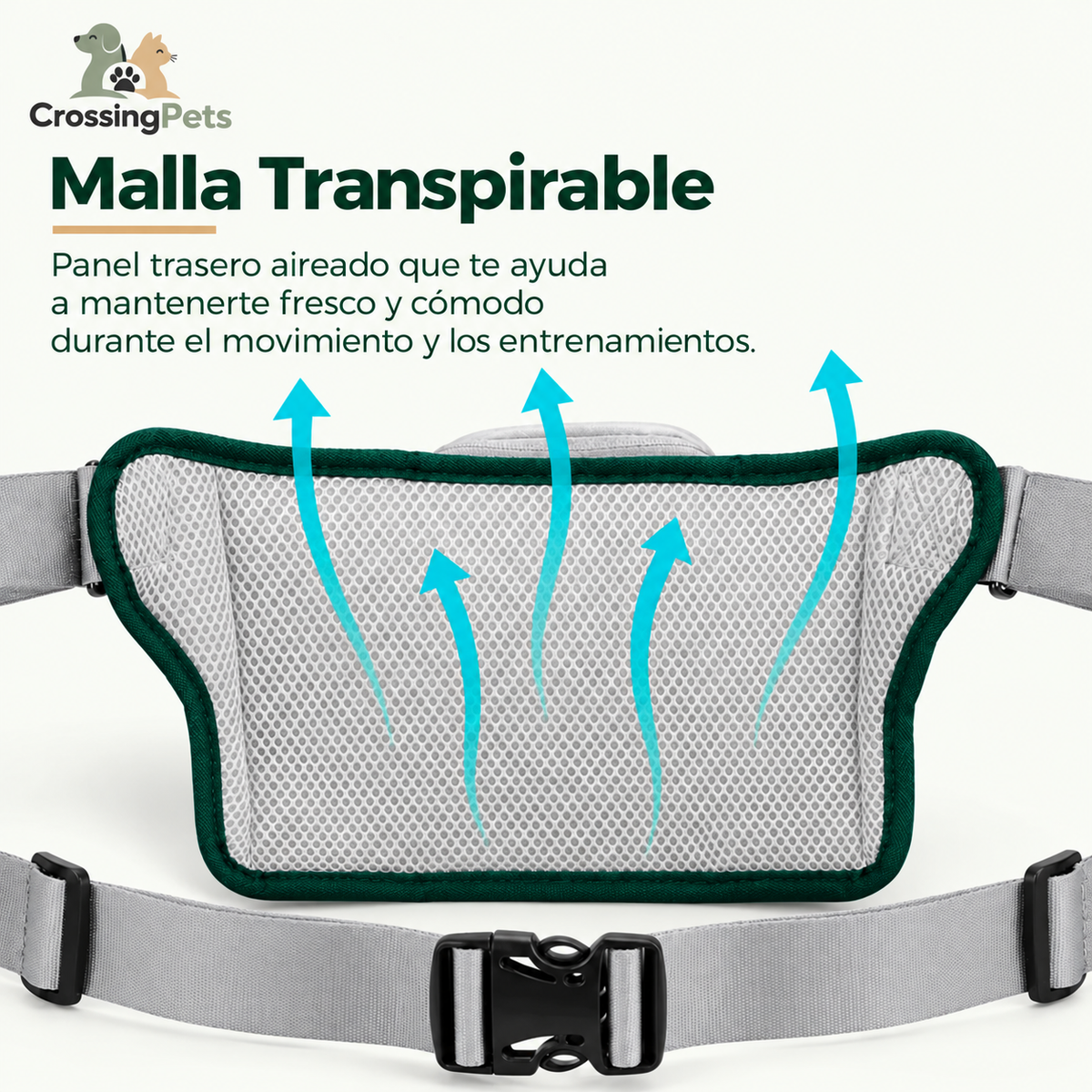 FreeRun Pro leash — image 9 — CrossingPets