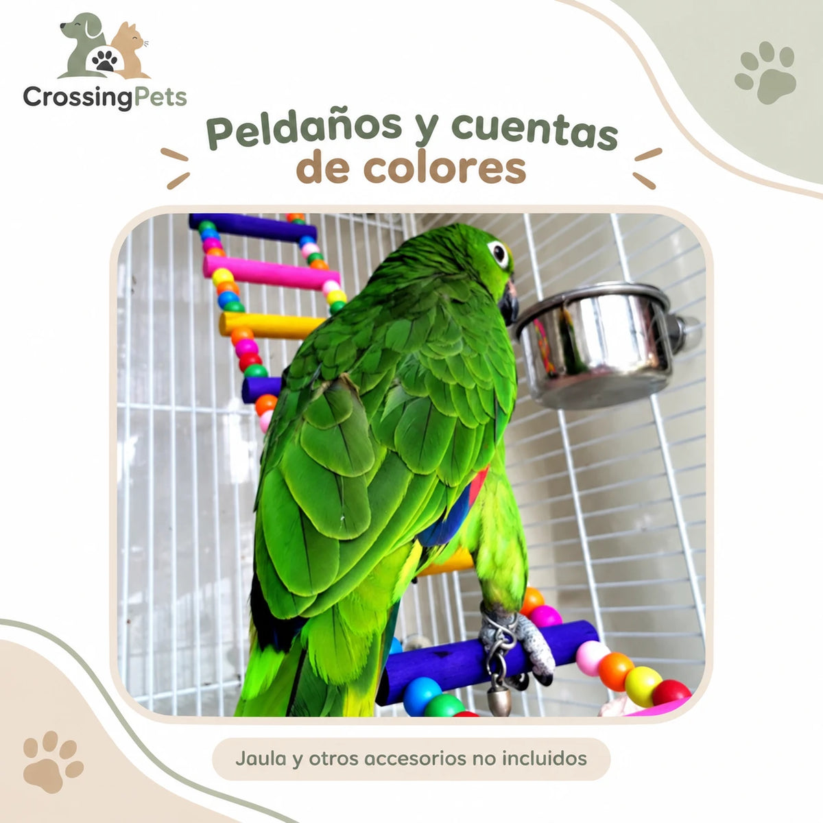 Escalera de madera multicolor para aves en tres tamaños — CrossingPets · imagen 5