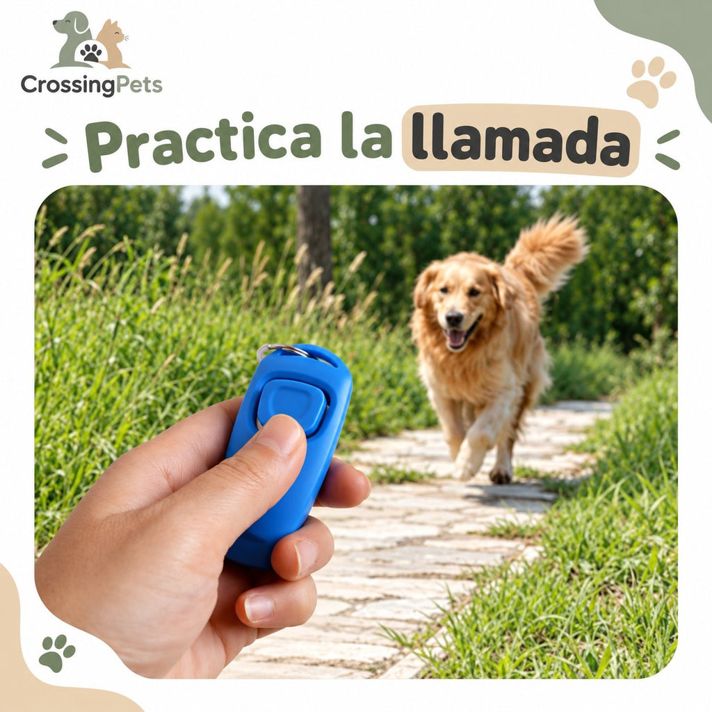 Silbato y clicker de adiestramiento 2 en 1 — CrossingPets · imagen 3