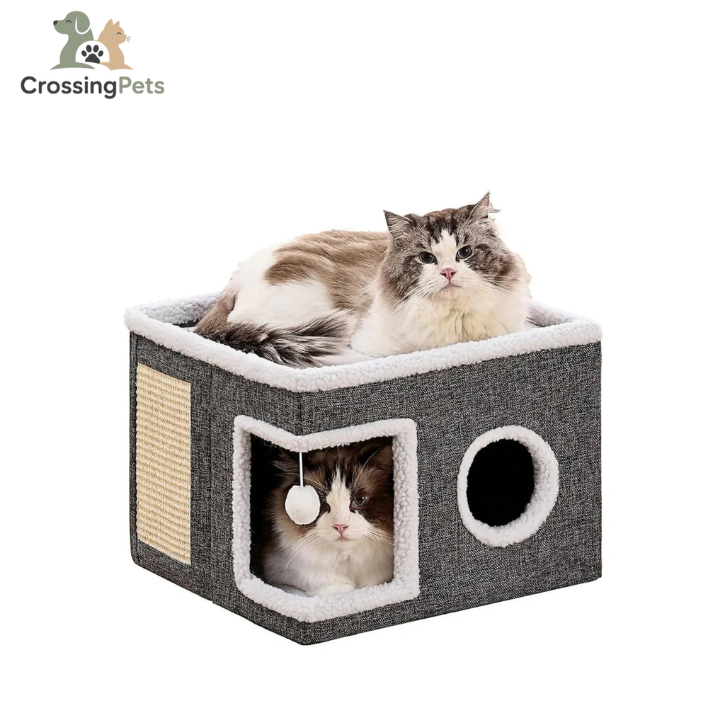 Refugio para gatos Lunatto — imagen 1 — CrossingPets