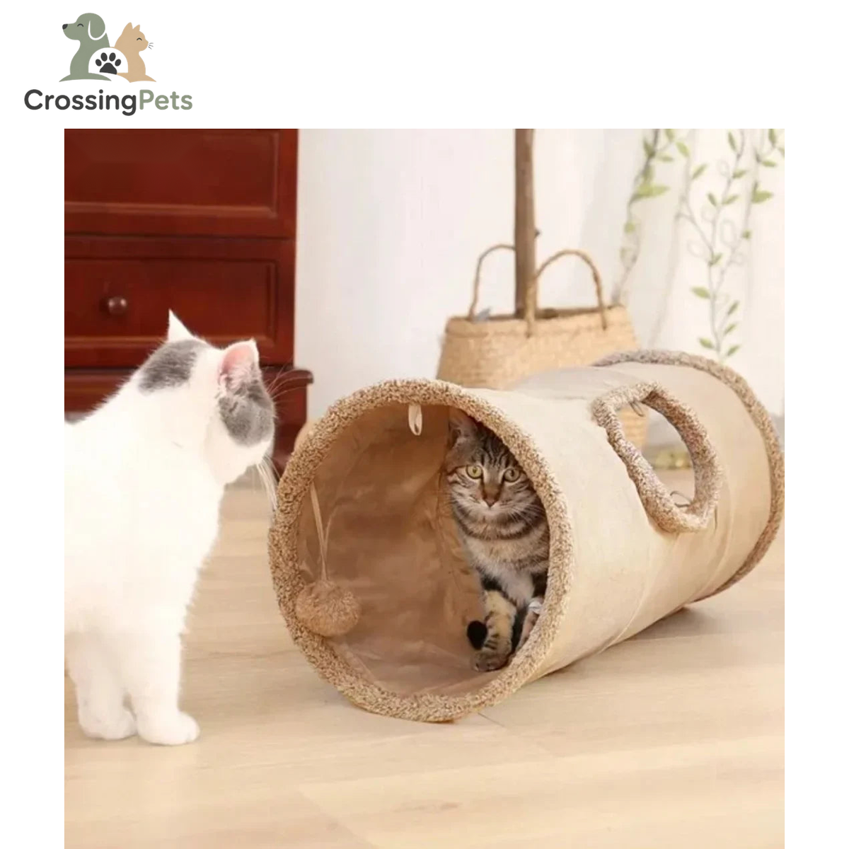 Túnel plegable para gatos Mocca — imagen 12 — CrossingPets