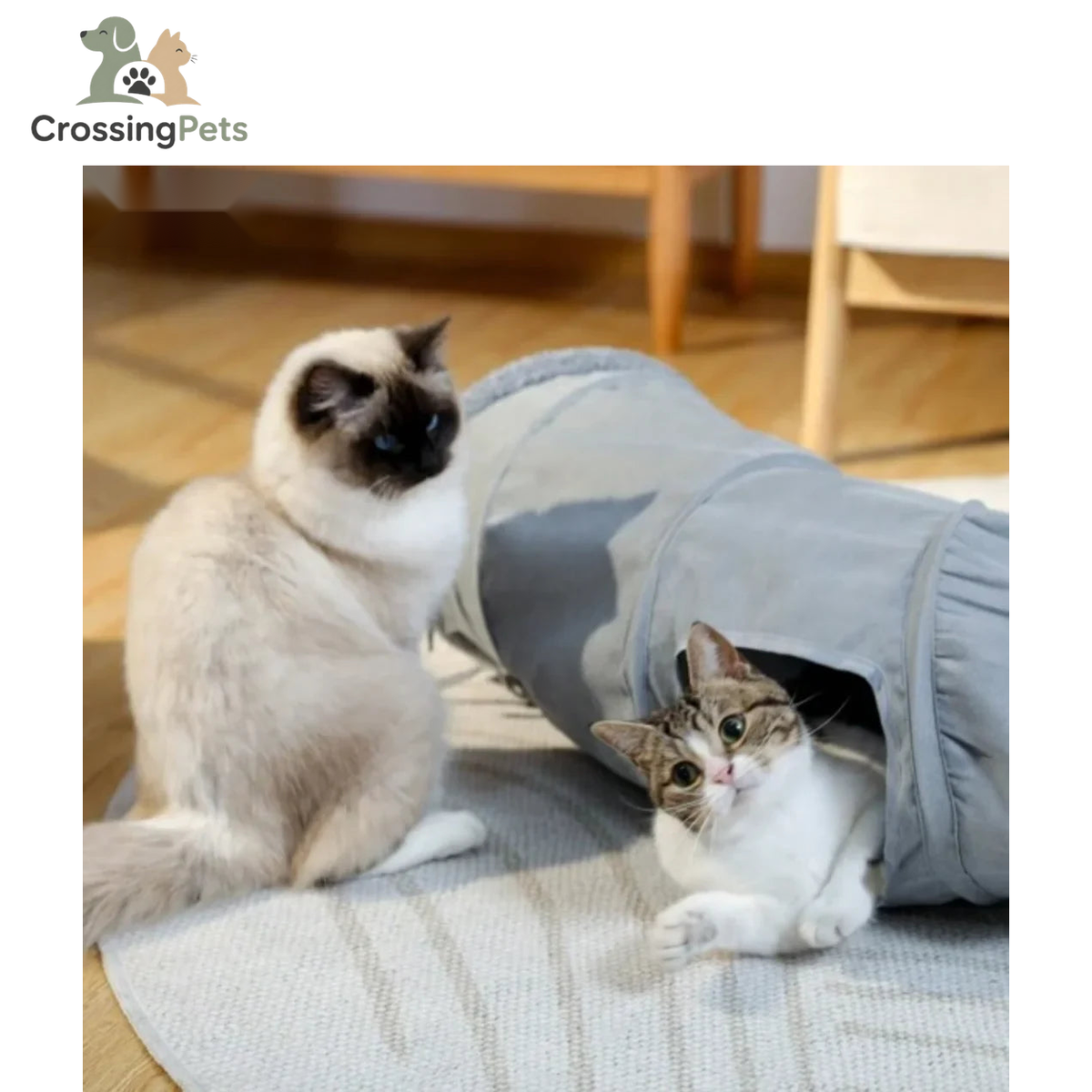 Túnel plegable para gatos Mocca — imagen 13 — CrossingPets