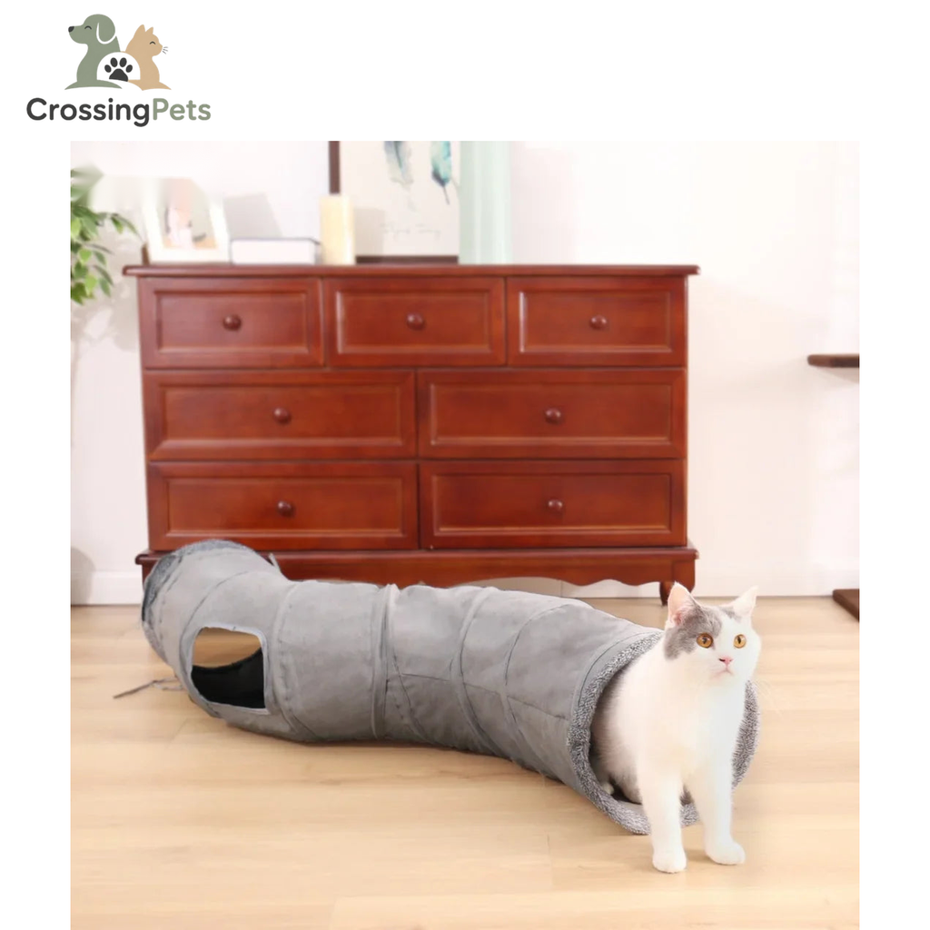 Túnel plegable para gatos Mocca — imagen 16 — CrossingPets