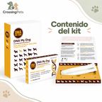 DNA My Dog · kit de identificación de razas — CrossingPets · imagen 4