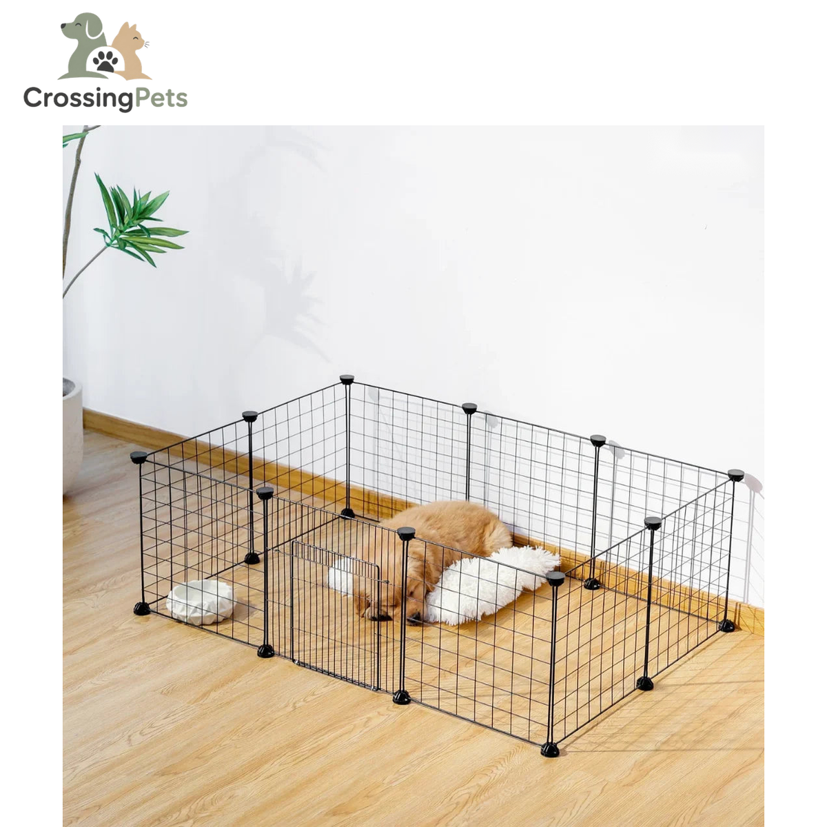 Parque modular para perros — imagen 15 — CrossingPets