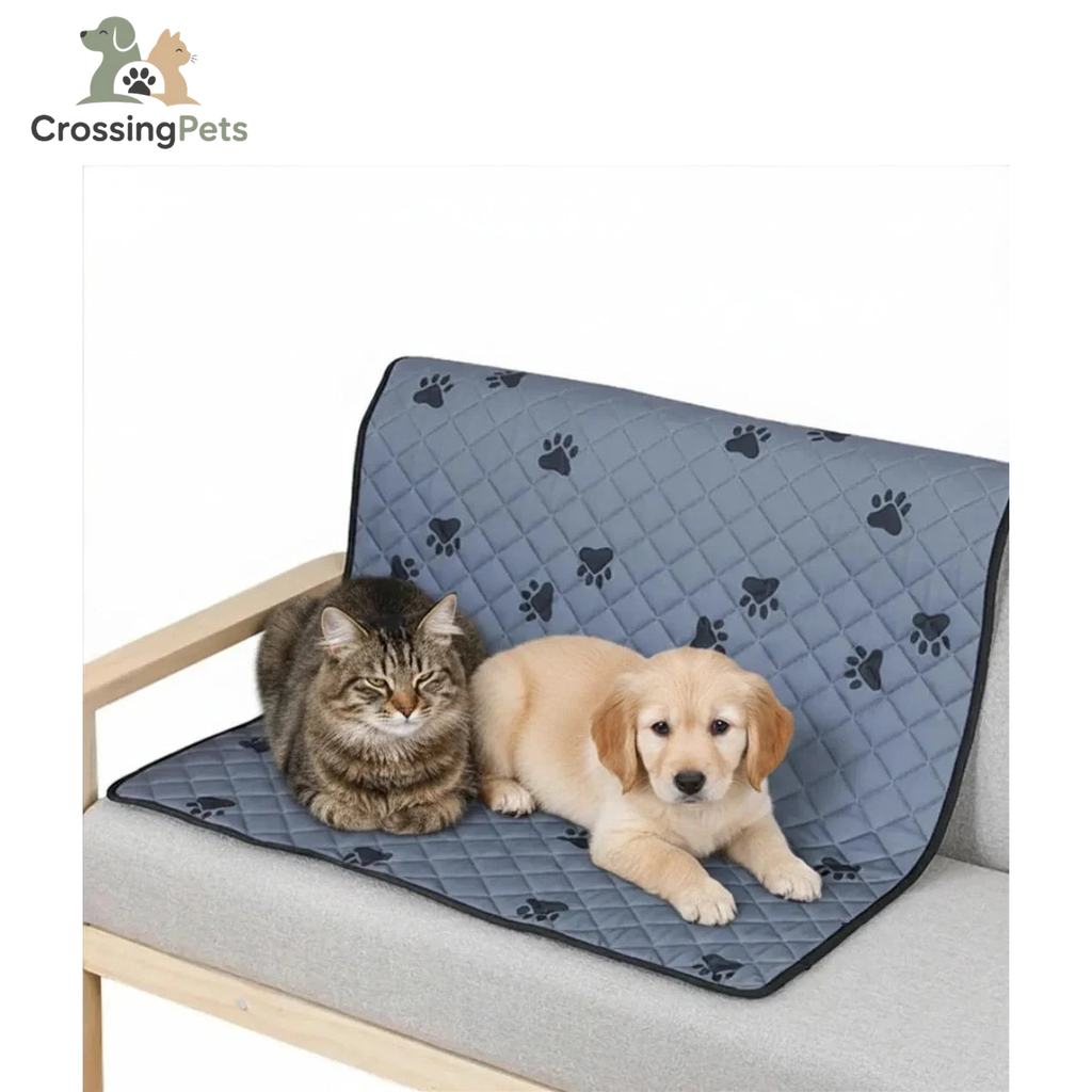 Protector impermeable de muebles PetCover — imagen 3 — CrossingPets