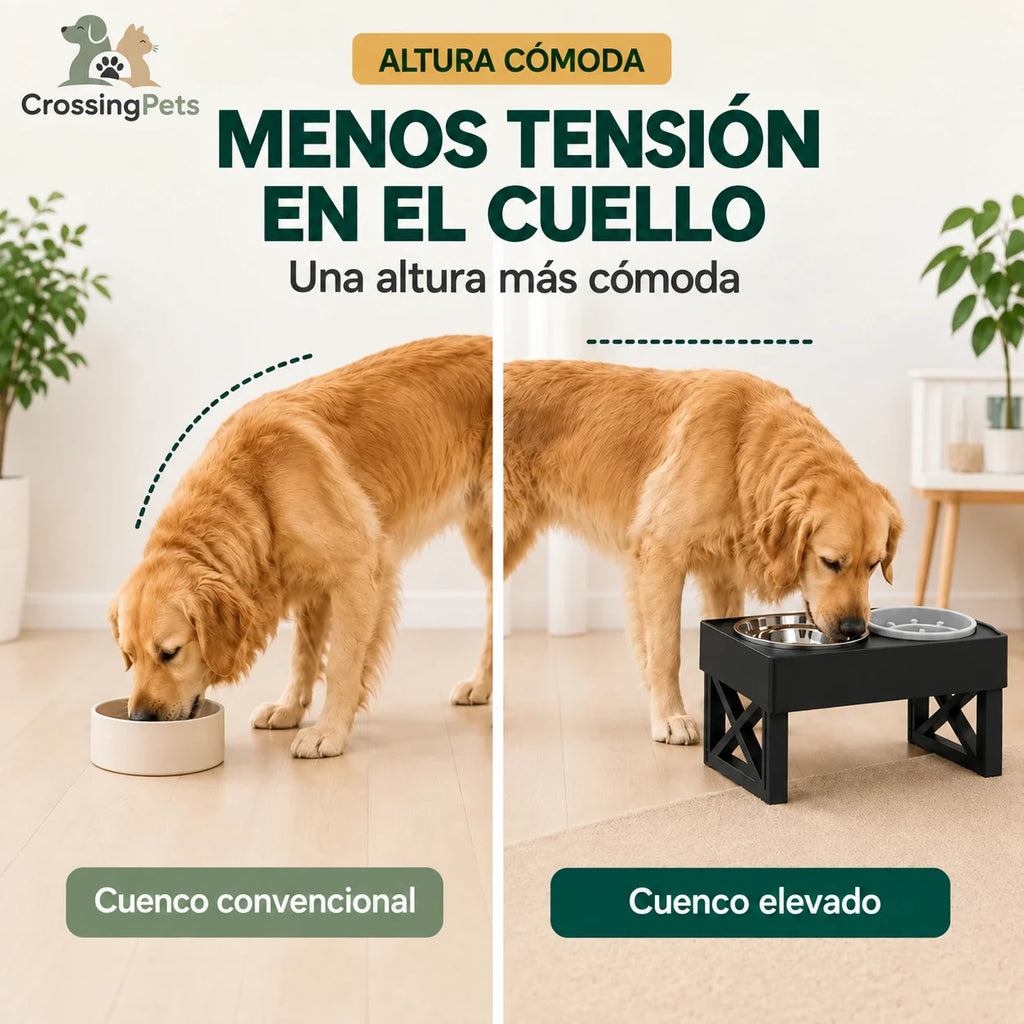 Comparación de altura del cuenco elevado — CrossingPets