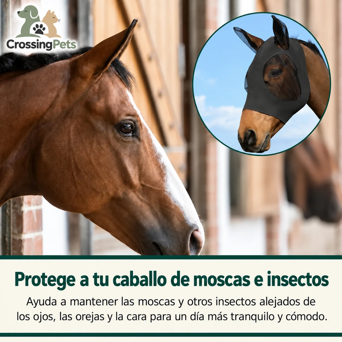 Máscara CrossingPets para mantener moscas e insectos alejados de los ojos, las orejas y la cara del caballo.