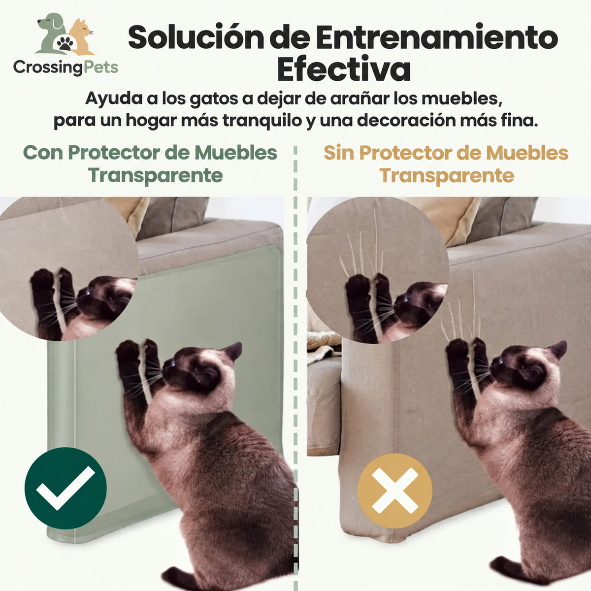 Protector transparente para muebles — imagen 5 — CrossingPets