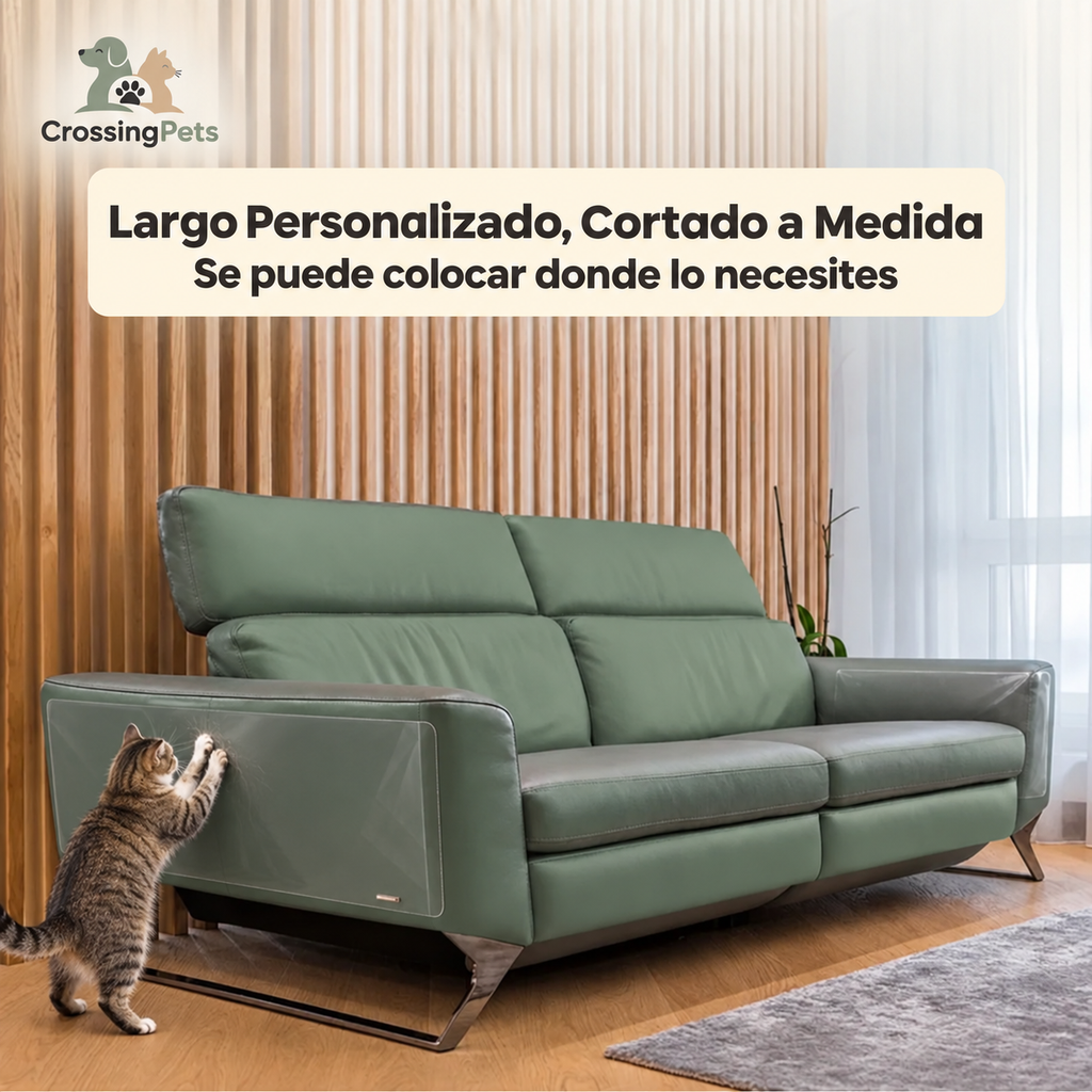 Protector transparente para muebles — imagen 10 — CrossingPets