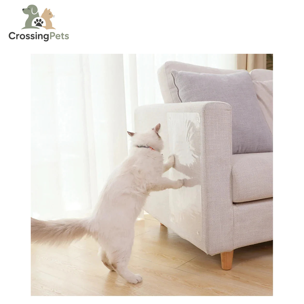 Protector transparente para muebles — imagen 13 — CrossingPets