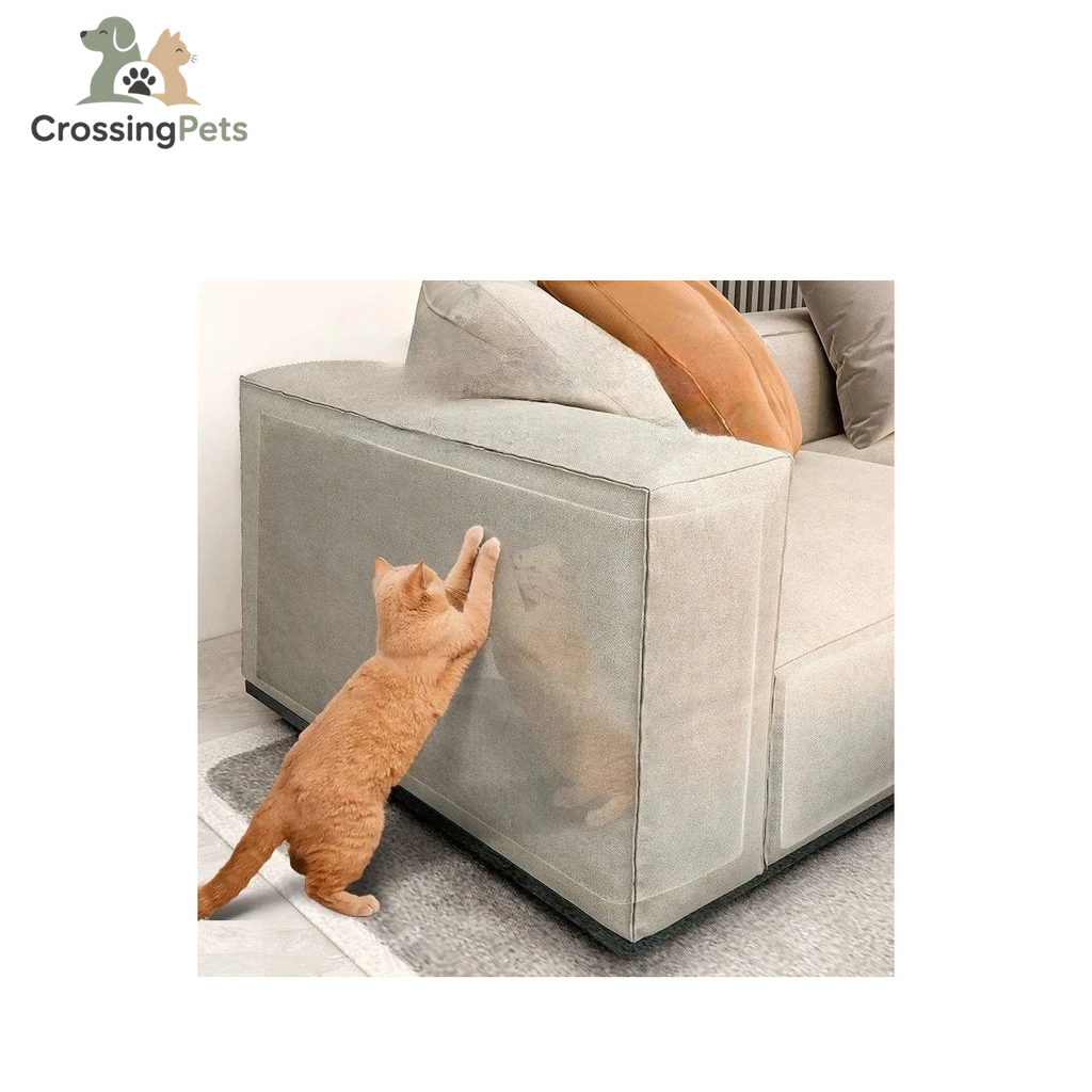 Protector transparente para muebles — imagen 15 — CrossingPets