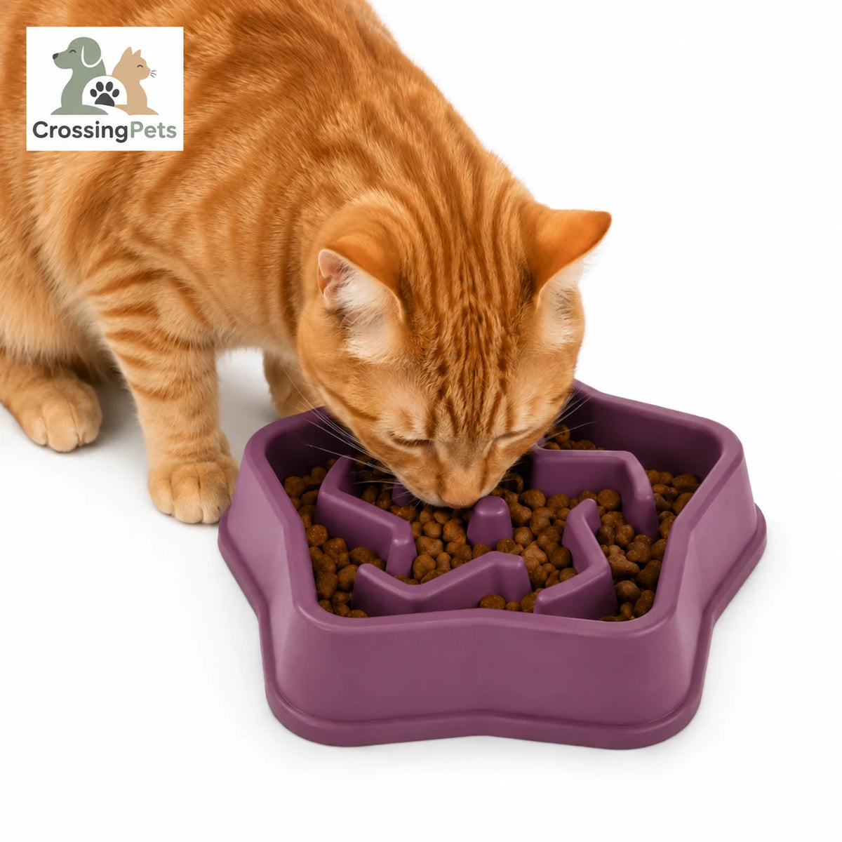 Slowfeeder Pro de CrossingPets: Variante morada con gato