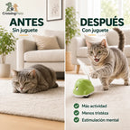 CatChase de CrossingPets: Actividad y estimulación