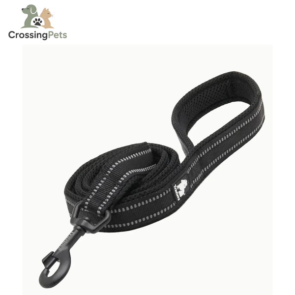 Plomo Reflexfit