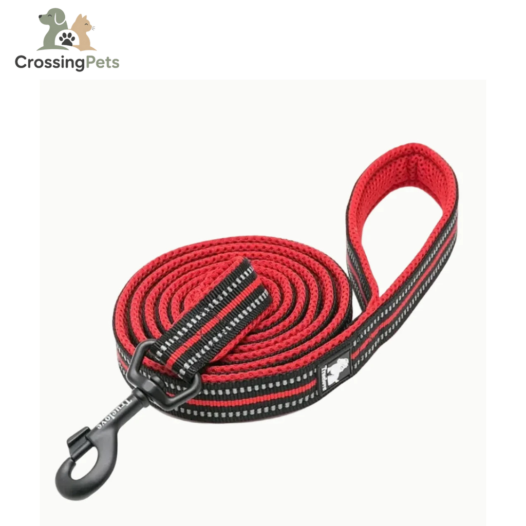 Correa Reflexfit — imagen 2 — CrossingPets