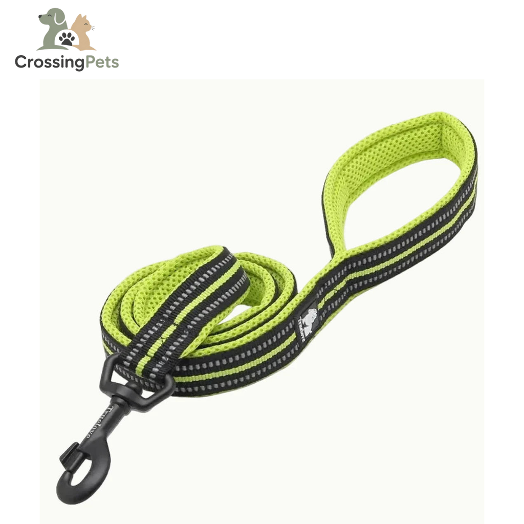 Correa Reflexfit — imagen 3 — CrossingPets