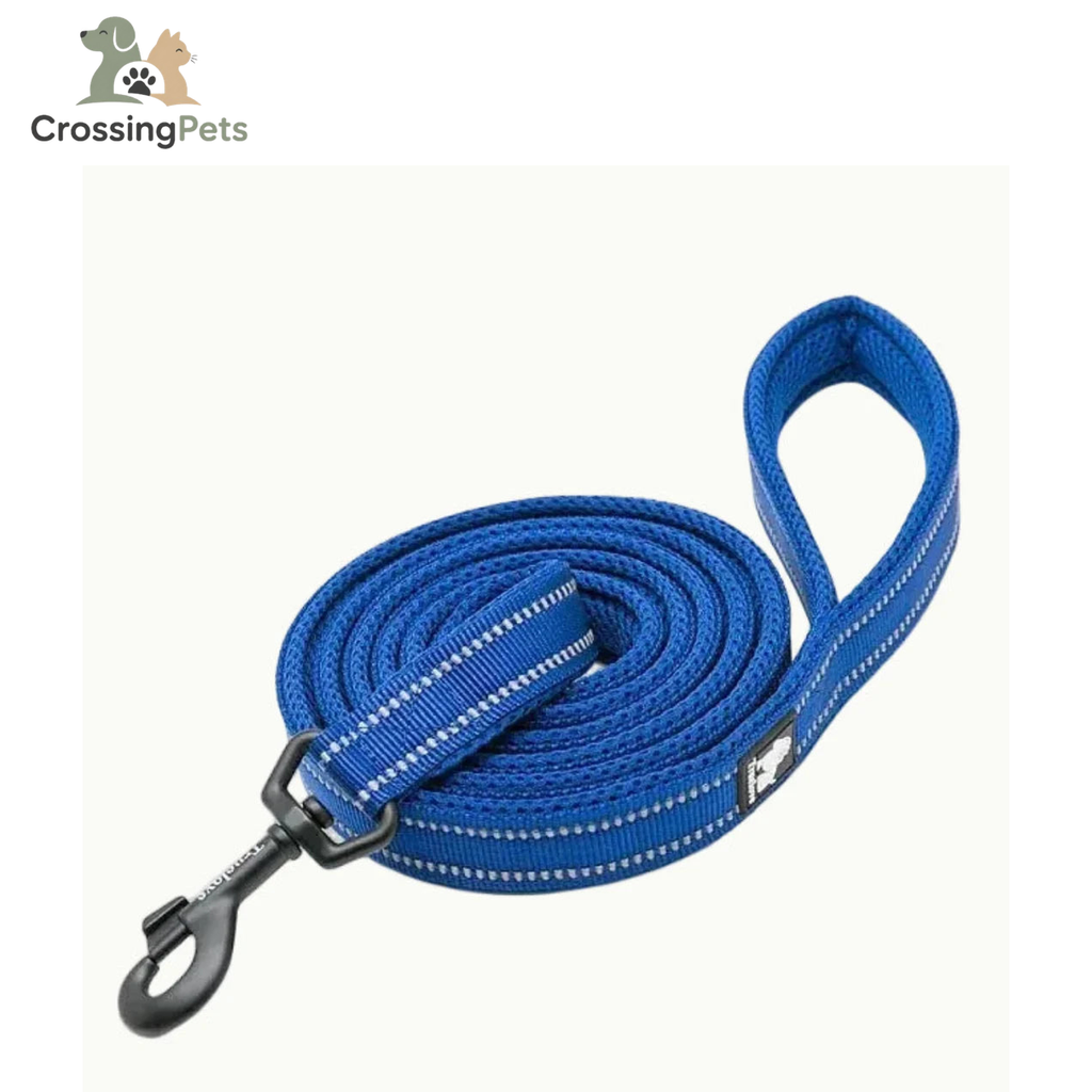 Correa Reflexfit — imagen 5 — CrossingPets