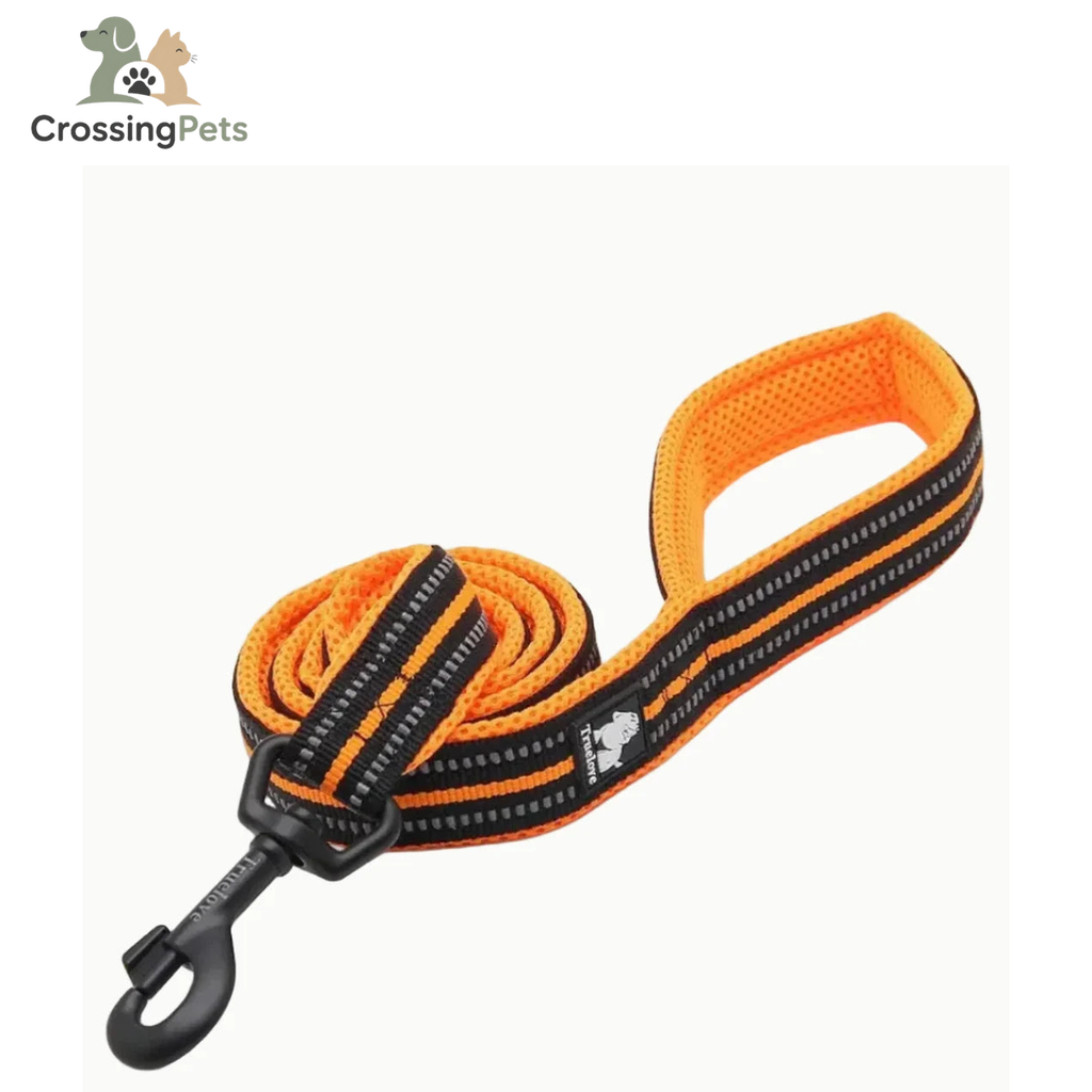 Correa Reflexfit — imagen 10 — CrossingPets