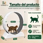 Rueda de ejercicio para gatos — imagen 4 — CrossingPets