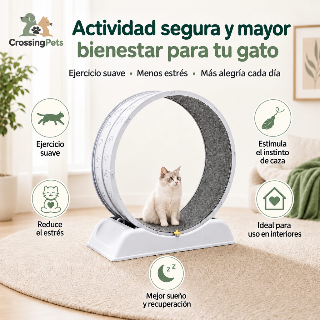 Rueda de ejercicio para gatos — imagen 6 — CrossingPets