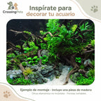 Madera natural decorativa para acuario · 3 tamaños — CrossingPets · imagen 6