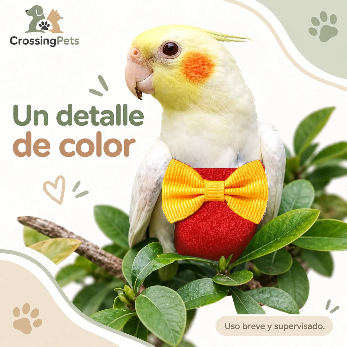 Pañal de tela con pajarita para aves — CrossingPets · imagen 10