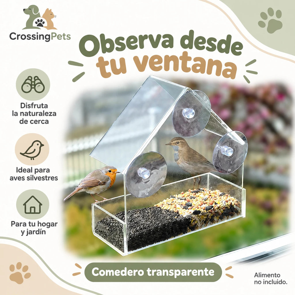 Comedero de ventana transparente con tres ventosas — CrossingPets · imagen 2