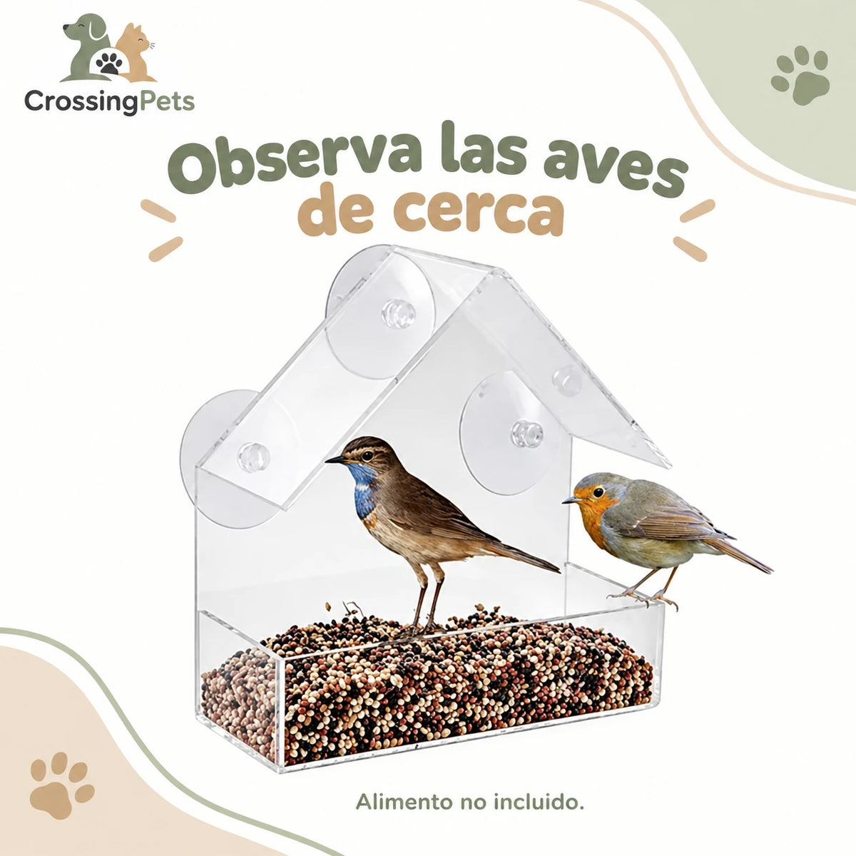 Comedero transparente para aves con ventosas — CrossingPets · imagen 3