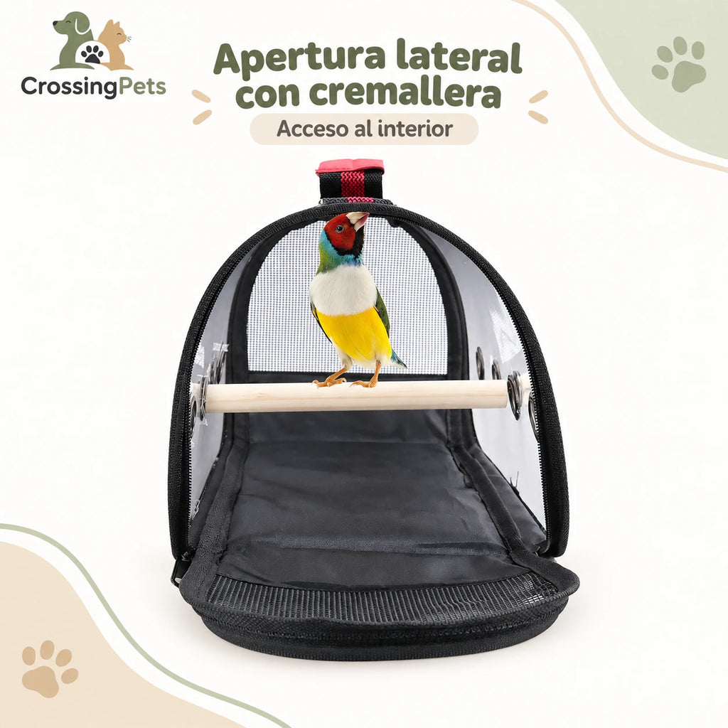 Transportín transparente para aves con percha de madera — CrossingPets · imagen 7