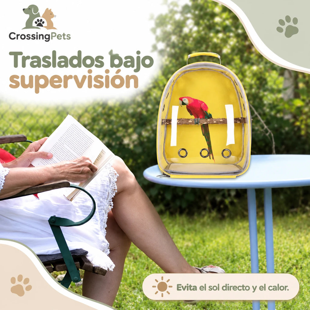 Mochila transportadora transparente para aves — CrossingPets · imagen 12