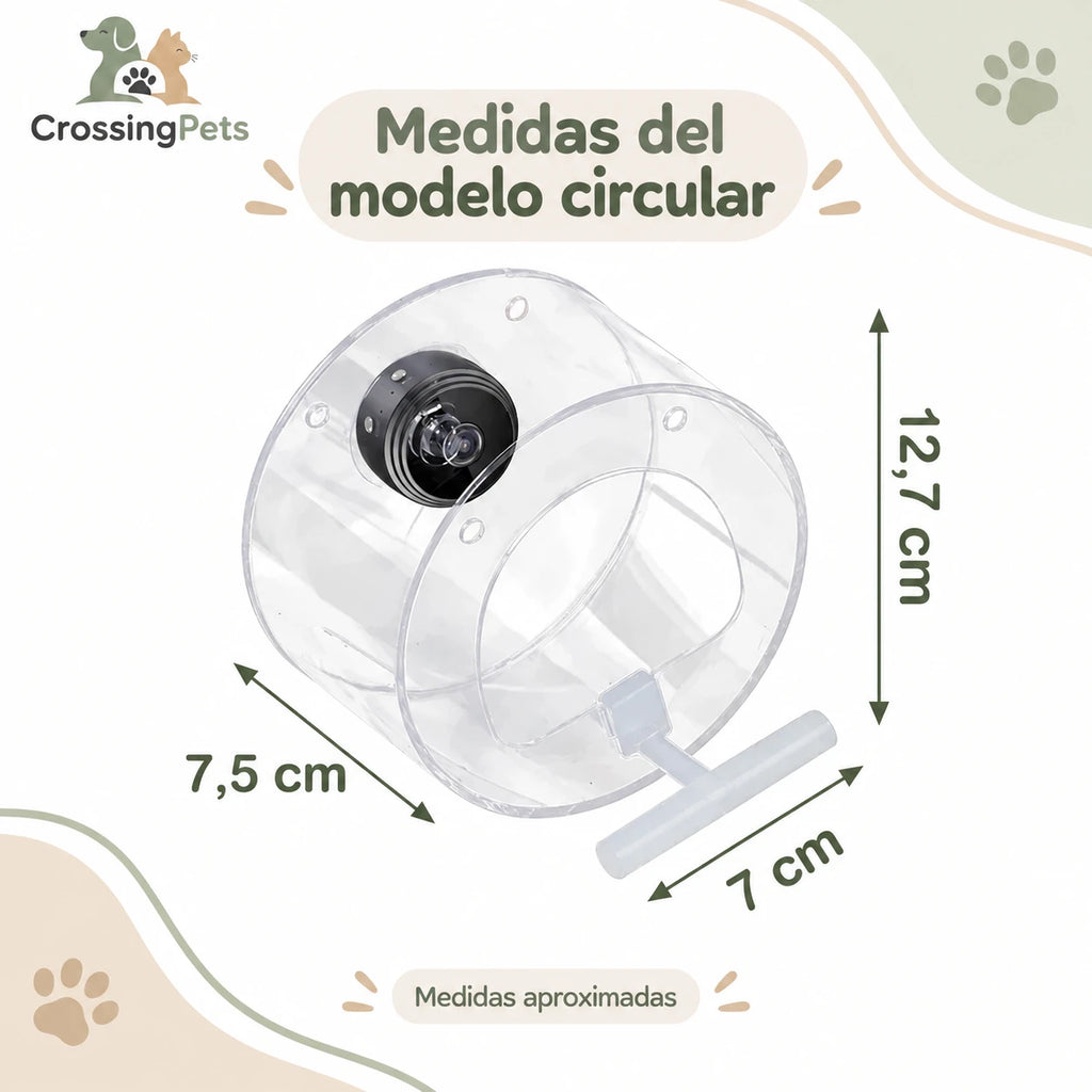 Comedero acrílico para aves con cámara Wi-Fi — CrossingPets · imagen 8