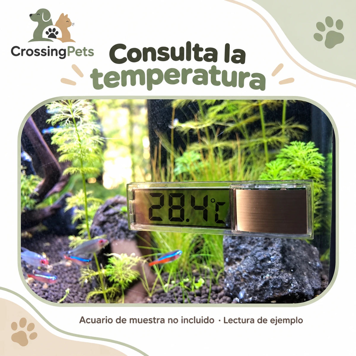 Termómetro digital para acuario con pantalla LCD — CrossingPets · imagen 3