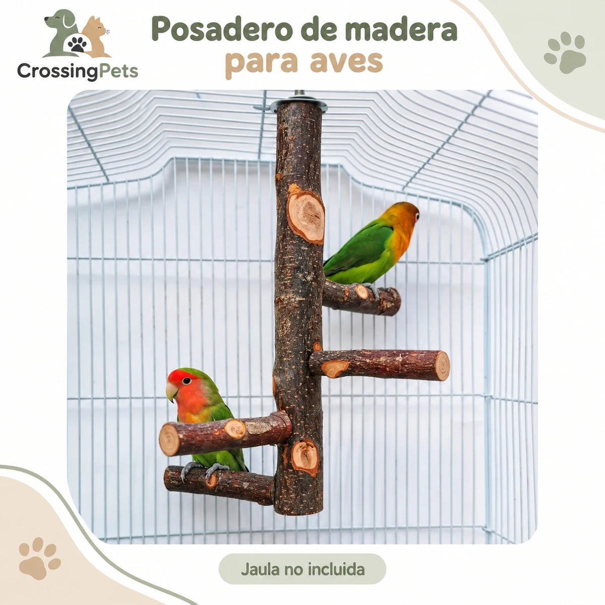 Posadero de madera de manzano con cuatro ramas para aves — CrossingPets · imagen 1