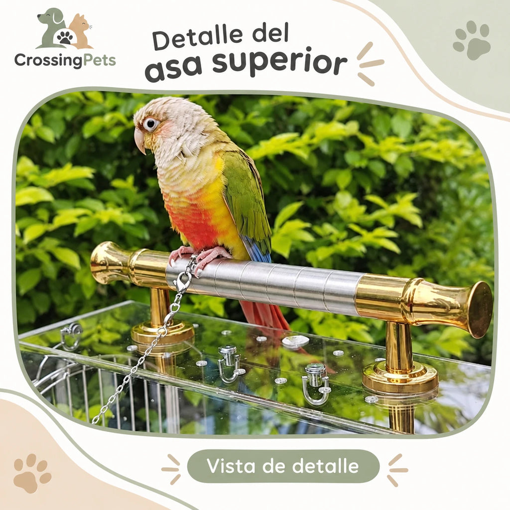 Jaula acrílica para aves con asa, posadero y comederos — CrossingPets · imagen 5