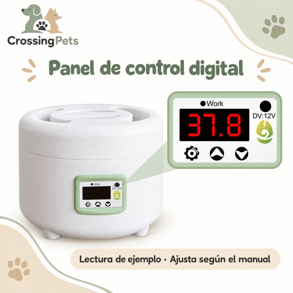 Incubadora compacta con panel digital y tapa superior — CrossingPets · imagen 2