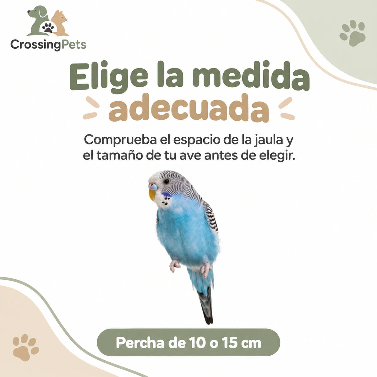 Columpio de madera y cuentas de colores para aves — CrossingPets · imagen 5