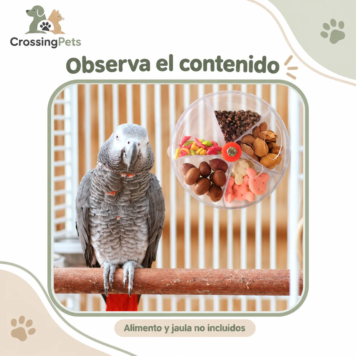 Rueda giratoria de búsqueda de comida para aves — CrossingPets · imagen 6
