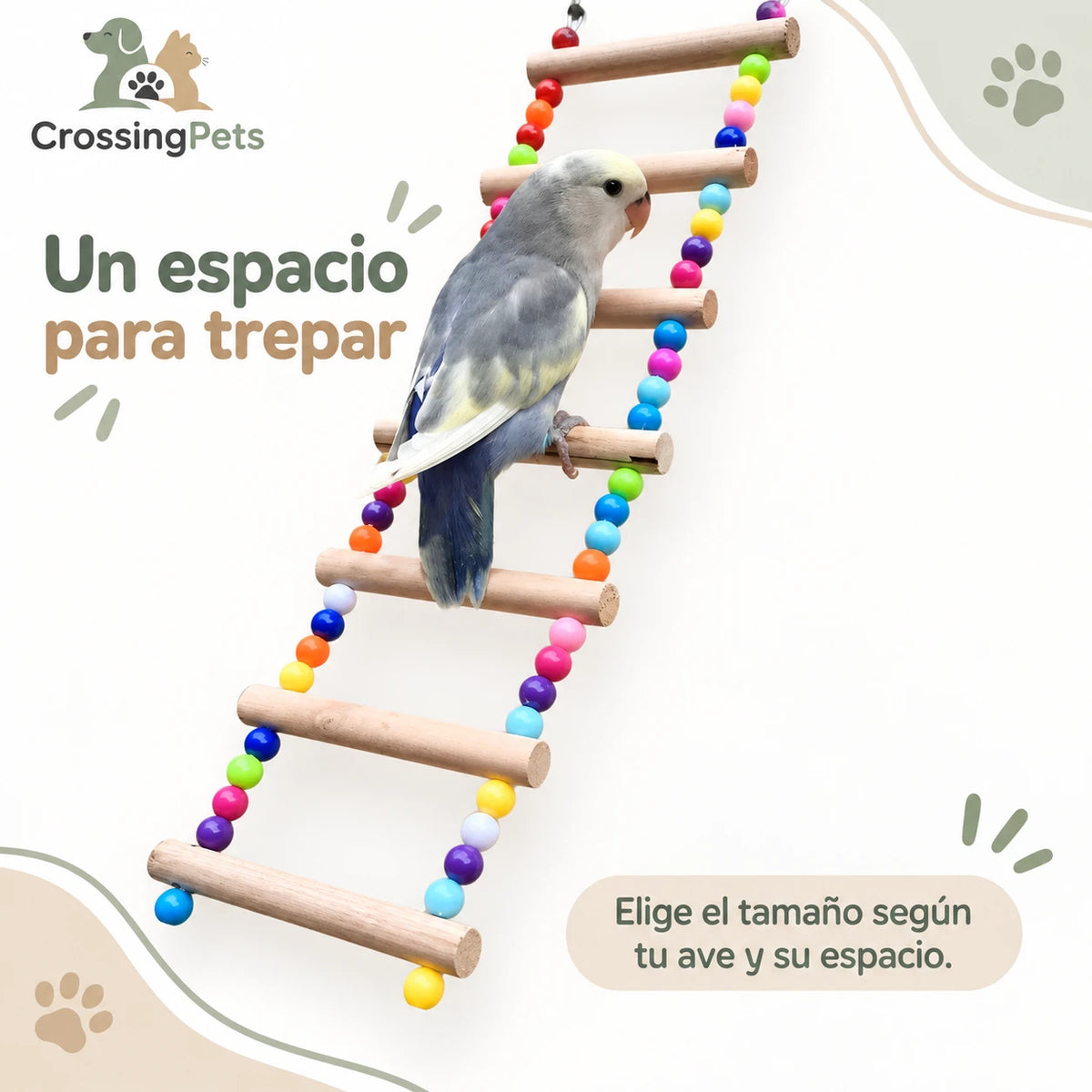 Escalera de madera con cuentas de colores para aves — CrossingPets · imagen 6