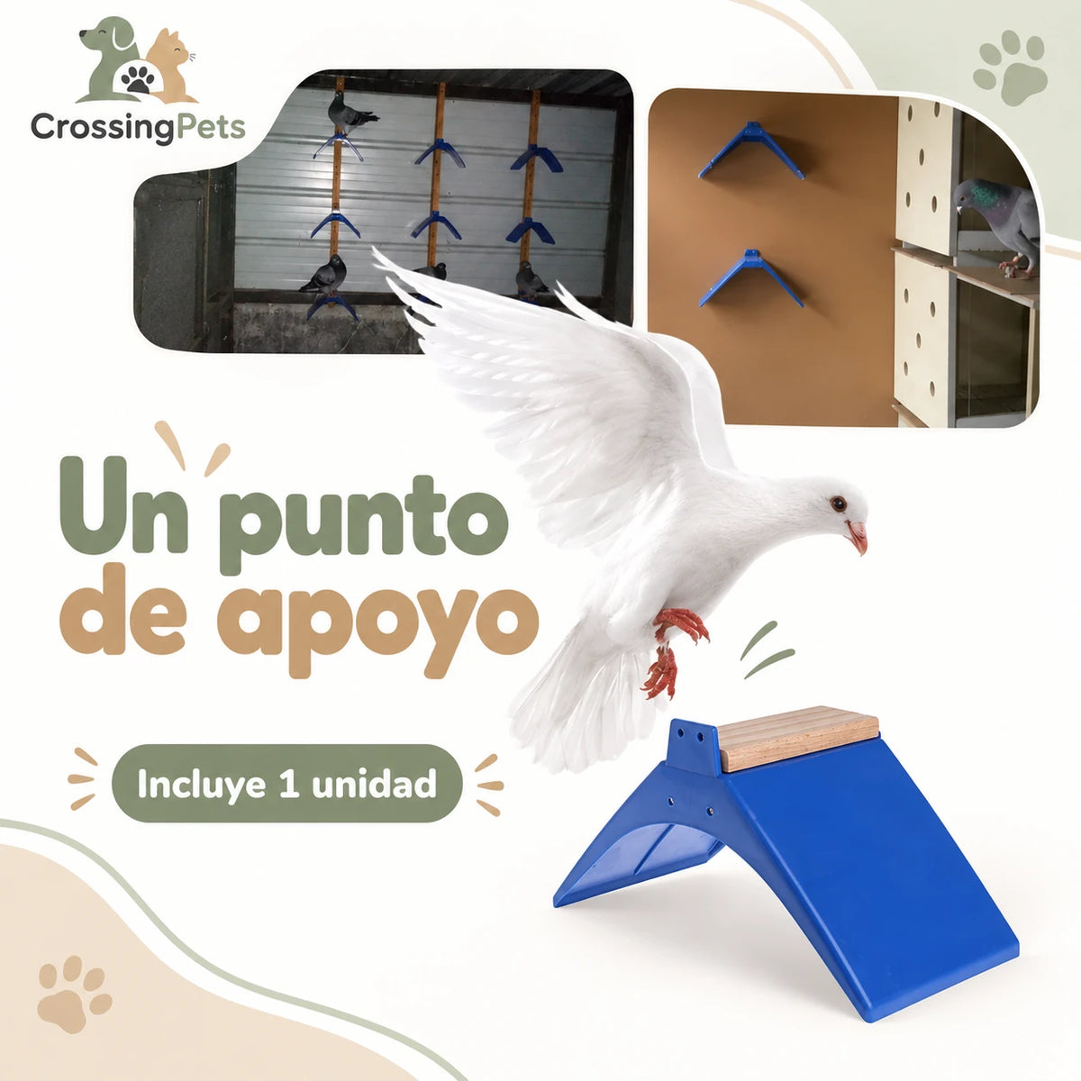 Posadero azul para palomas con apoyo de madera — CrossingPets · imagen 2