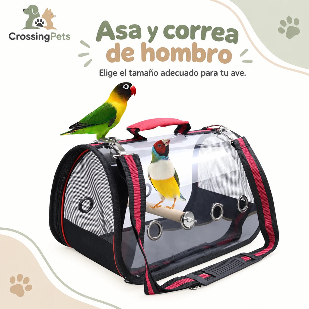 Transportín transparente para aves con percha de madera — CrossingPets · imagen 2